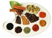 food palatte.jpg food palatte.jpg