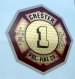 chester ladder 9_10.jpg