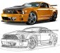 mustang illustration.jpg