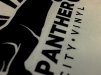 panther-city.jpg panther-city.jpg