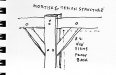 mortisetenon.jpg