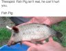 fishpig.jpg