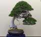 upload_2019-9-5_17-16-55.png