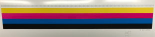 IMG_0428.png