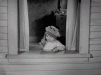 3105EC79-3DB9-43E8-A837-CB9B970A8CC4.gif