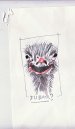 ostrich.jpg
