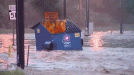dumpster fire.gif