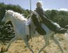 shadowfax-rider.jpg