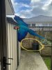 IP39320Macaw.jpg