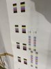 Mutoh file print.jpg