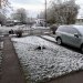 IMG_20220415_064206.jpg