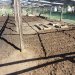 2022 garden midway.jpg