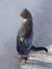 1659734898485.png