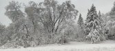 Winter_221225.jpg