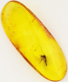 1675723968479.png