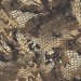 Generic Camo 31.jpg
