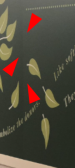1702486460948.png