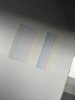 IMG_7512.jpeg