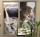 WINDOW-INSTALL-2.jpg