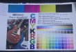 Roland SP-300v VW Test Print.jpg