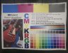 Roland SP-300v VW Test Print 18th Sept 2025 1530pm.jpg