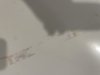 IMG_8360.jpeg