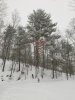 20260125_164305.jpg 20260125_164305.jpg