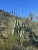 IMG_2299.JPEG