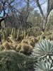 IMG_2317.JPEG