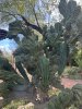 IMG_2319.JPEG