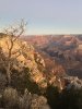 IMG_2343.JPEG