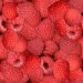 raspberries1.jpg