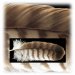feather.jpg