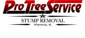 Pro Tree Service Graphic 2 wo Street Add.jpg