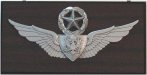 Master_airwing_member_pin.jpg