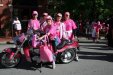 komen pink blvd2.jpg