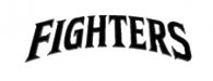 FIGHTERS-1.jpg