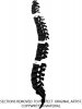 Spine-#2.jpg