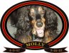 MOLLY-RIP.jpg