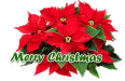 avatar-Merry Christmas plant.gif