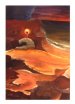 cave-watch.jpg