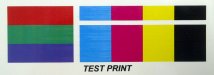 Mutoh 1604 Test Print.jpg