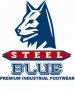 SteelBlue logo on white.jpg