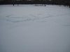 IMG_1034.jpg