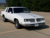 84 Cutlass Supreme.jpg