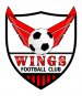 wings2011.jpg