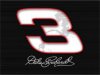 earnhardt number.jpg