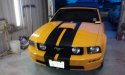 mustang rallye stripes pic 1.jpg