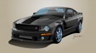 roush_stang_800wide_alloy.jpg