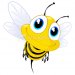 istockphoto_14890943-bee-cartoon.jpg